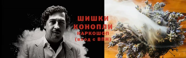 молекула духа Балабаново