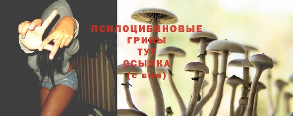 молекула духа Балабаново