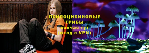 эйфоретик Тихвин