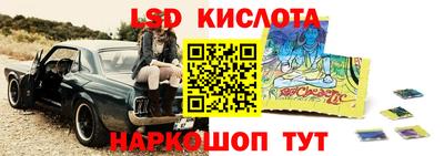 мяу мяу мука Будённовск