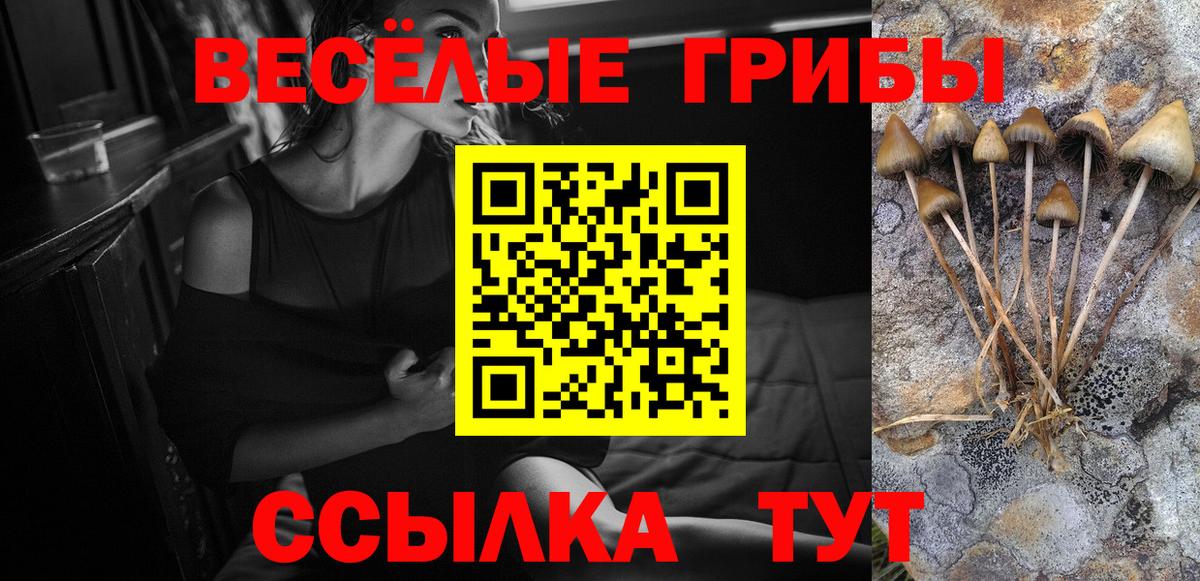 Гусев  Псилоцибиновые грибы мицелий  Вход с VPN 