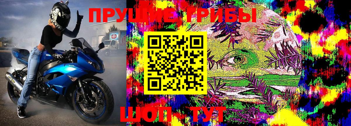 Галлюциногенные грибы мухоморы  Гусев 