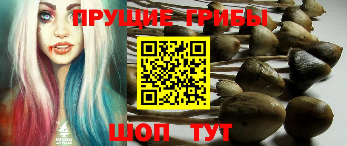 Галлюциногенные грибы MAGIC MUSHROOMS Гусев